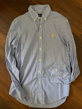 Polo by Ralph Lauren Blue and White Stripe Button-Down Shirt